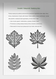 Zabawa "Drzewo i liście". Rozpoznaję gatunki drzew i krzewów.