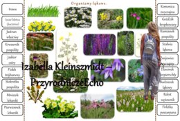 Notatki okienkowe/stacje zadaniowe/notatki/notatki graficzne/karty pracy/sketchnotki/materiał do zalaminowania do działu „Odkrywamy tajemnice życia w wodzie i na lądzie” w pdf. Przyroda 4.