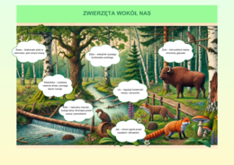 Plansze edukacyjne „Ekologia w szkole”