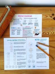 Podziały komórkowe – sketchnotka – wklejka | Biologia | klasa 8