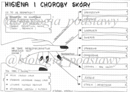 Klasa 7 - Higiena i choroby - sketchnotka