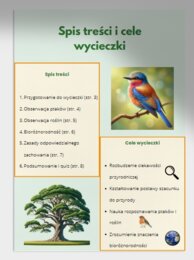 Wycieczka do lasu, parku, rezerwatu. Obserwacja ptaków, roślin, różnorodność biologiczna. Zasady zachowania