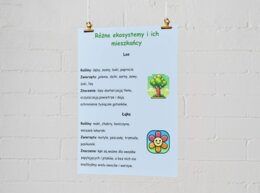 Bioróżnorodność. Rożne typy ekosystemów (łąka, lasy, wody słodkie, morza).