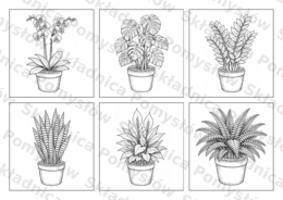 ROŚLINY DONICZKOWE - kolorowanka edukacyjna - (PDF A4, 7 stron: 6 roślin + miniatury) - przyroda/biologia