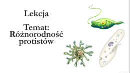 Klasa 5 - Protisty - prezentacja