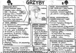 Grzyby - szarość (klasa 5)