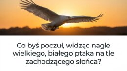 Historia 4 - Moje miejsce na ziemi- rozdział 6-  GWO 26/27