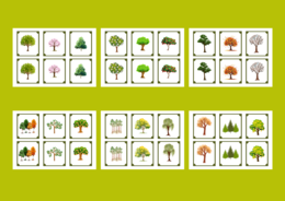 DZIEŃ DRZEWA – memory – 36 szt.