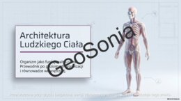 Organizm Człowieka jako Funkcjonalna Całość – Kompletna Prezentacja Edukacyjna biologia klasa 7
