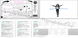 Karta pracy „Moje pierwsze doświadczenie” + przykłady doswiadczeń w wordzie + gratisowy link do lekcji multimedialnej (pomysłu na lekcję) niekomercyjnej wykonanej w genial.ly do indywidualnego pobrania i użycia do celów niekomercyjnych. Przyroda 4, dział