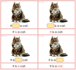 Karty 'It is' vs 'They are': fill in the gaps (Pets vocab)