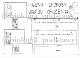 Klasa 7 - Higiena i choroby układu krążenia - LP