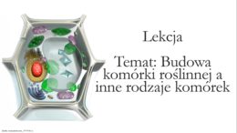 Budowa komórki roślinnej - klasa 5 - scenariusz