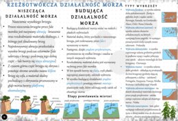 Sketchnotka/notatka „Rzeźbotwórcza działalność morza”. Geografia 1, Dział VI „Litosfera. Procesy zewnętrzne”. OBLICZA GEOGRAFII 1