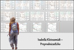 Notatka okienkowa/stacja zadaniowe/notatka interaktywna/notatka graficzna/karta pracy/sketchnotka „Krainy geograficzne na mapie Polski”, „Ukształtowanie powierzchni Polski” w pdf do SP. Geografia 7, dział „Środowisko przyrodnicze Polski”. Materiał wykona