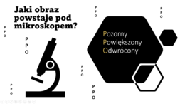 Fiszki na slajdach - BIOLOGIA - Temat: Rodzaje mikroskopów. Badania przyrodnicze.