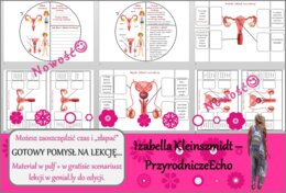 Pomysł na lekcję/karta pracy/stacje zadaniowe/materiał do lekcji do tematu „Układ rozrodczy umożliwia wydawanie na świat potomstwa” w pdf. W gratisie niekomercyjny scenariusz lekcji/pomysł na lekcję w programie genial.ly do edycji. Przyroda 4. Dział „Odk