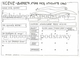 Klasa 6 - Nicienie - karta pracy