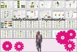 Zestaw sketchnotek i kart pracy + gratisowe linki do prezentacji multimedialnych niekomercyjnych wykonanych w genial.ly do indywidualnego pobrania i użycia do celów niekomercyjnych. Biologia 5, „Różnorodność roślin”