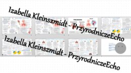 Zestaw sketchnotek i kart pracy + gratisowe linki do prezentacji multimedialnych niekomercyjnych wykonanych w genial.ly do indywidualnego pobrania i użycia do celów niekomercyjnych. Biologia 7, „Układ oddechowy”