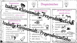 Sketchnotka - notatka „Drapieżnictwo” wykonana w power point do edycji. Biologia 8; „EKOLOGIA