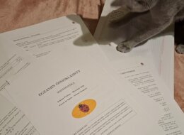 Jesienna Rozgrzewka przed Egzaminem – Arkusz Startowy dla Klasy 8 (Format CKE)