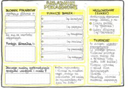 Składniki pokarmowe - kolor - klasa 7