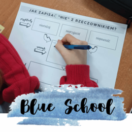 ortografia - pisownia "nie" z rzeczownikami