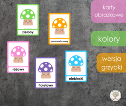 Karty obrazowe - kolory - grzybki