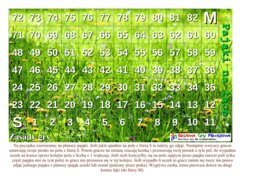 Pająki na łące – Gra planszowa