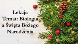 Prezentacja biologiczna: Biologicznie o Świętach Bożego Narodzenia