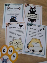 Karty pracy dzień kota + ciekawostki