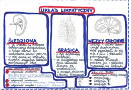 Układ limfatyczny - kolor - klasa 7