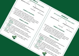 KOMUNIKACJA JĘZYKOWA - wklejka - wklejki - egzamin