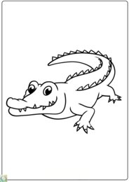 ZWIERZĘCE KOLOROWANKI