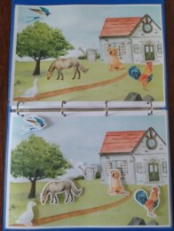 Orientacja przestrzenna