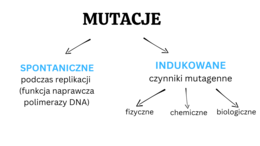 Zmienność organizmów KLASA 4 ROZSZERZENIE BIOLOGIA