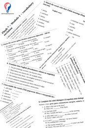 Flash 7 – Module 1 – vocabulary revision