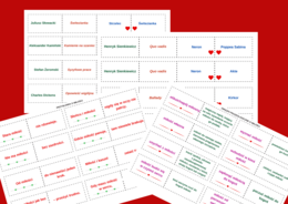 PARY BOHATERÓW LITERACKICH - lektury kl.7-8 - 128 fiszek - fiszki - walentynki - związki frazeologiczne - frazeologizmy - przysłowia - egzamin - powtórka