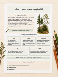 Las – dom wielu przyjaciół