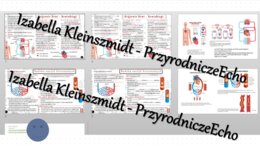 Minizestaw na temat „Krążenie krwi” – sketchnotka + karta pracy w power point + gratisowy link do prezentacji multimedialnej niekomercyjnej wykonanej w genial.ly do indywidualnego pobrania i użycia do celów niekomercyjnych. Biologia 7, „Układ krwionośny”