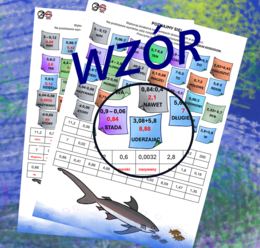 (klasa 6, klasa 7) Cztery działania pamięciowe na ułamkach dziesiętnych z rekinem.