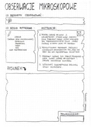 Obserwacje mikroskopowe: liść cebuli