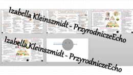 Minizestaw na temat „Higiena i choroby układu pokarmowego” – sketchnotka + karta pracy w power point + gratisowy link do prezentacji multimedialnej niekomercyjnej wykonanej w genial.ly do indywidualnego pobrania i użycia do celów niekomercyjnych. Biologi