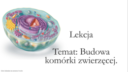 Budowa komórki zwierzęcej - klasa 5 - scenariusz