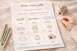 Miska, smycz, piłka – słowniczek małego opiekuna psa