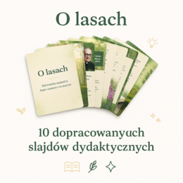 Prezentacja „O lasach”