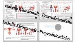 Minizestaw na temat „Męski układ rozrodczy” – sketchnotka + karta pracy w power point + gratisowy link do prezentacji multimedialnej niekomercyjnej wykonanej w genial.ly do indywidualnego pobrania i użycia do celów niekomercyjnych. Biologia 7, „Rozmnażan