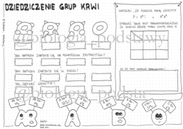 Klasa 8 - Dziedziczenie grup krwi - KP