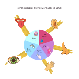 My body set - zestaw do nauki części ciała, organów oraz 5 zmysłów, CLIL